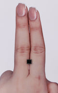 IGI 0.67 Carat Natural Fancy Black Princess Diamond SE-10437IN