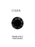GIA 6.02 Carat Natural Fancy Black Round Diamond SE-8996GT