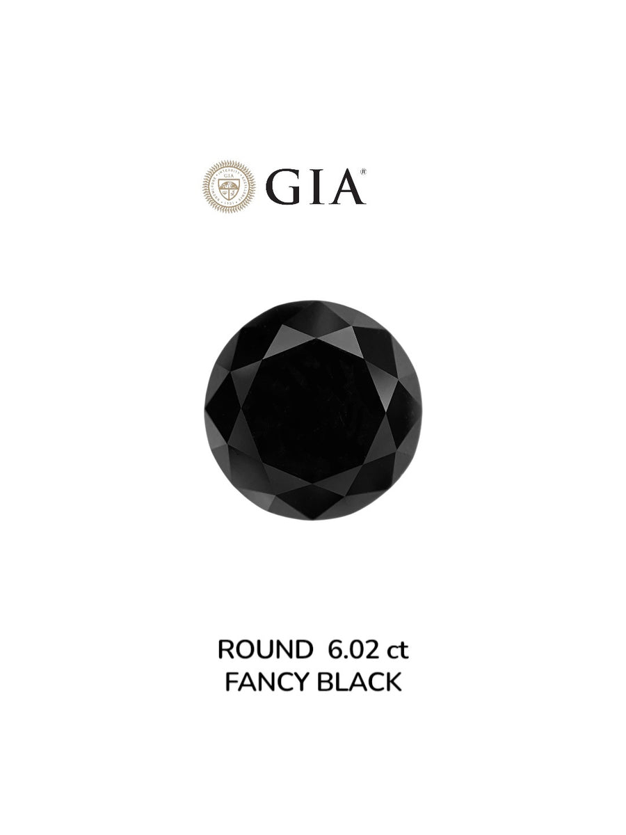 GIA 6.02 Carat Natural Fancy Black Round Diamond SE-8996GT
