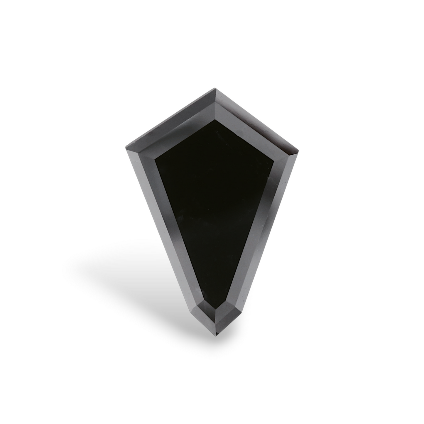 GIA 3.85 Carat Natural Fancy Black Kite Diamond SE-8571GN